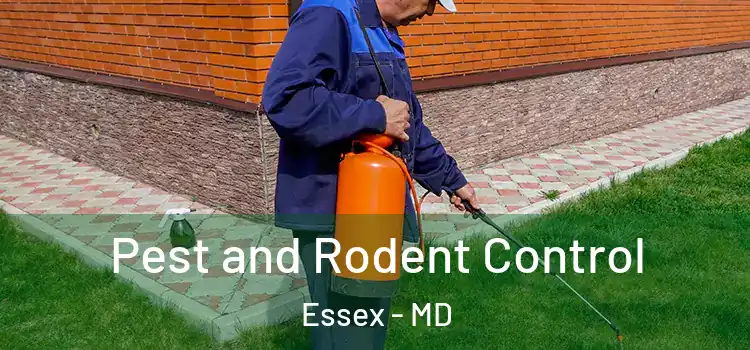Pest and Rodent Control Essex - MD