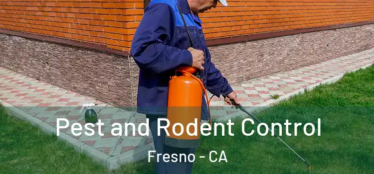 Pest and Rodent Control Fresno - CA