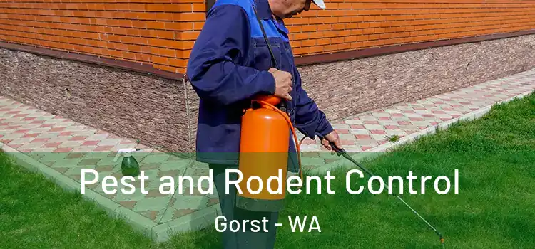 Pest and Rodent Control Gorst - WA