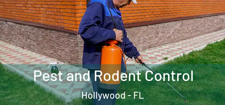 Pest and Rodent Control Hollywood - FL