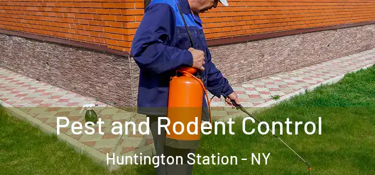 Pest and Rodent Control Huntington Station - NY