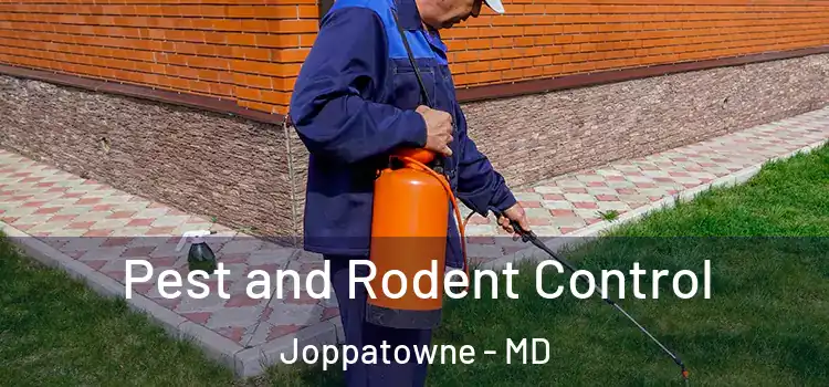 Pest and Rodent Control Joppatowne - MD