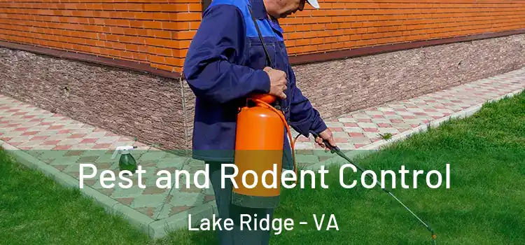  Pest and Rodent Control Lake Ridge - VA