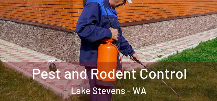  Pest and Rodent Control Lake Stevens - WA