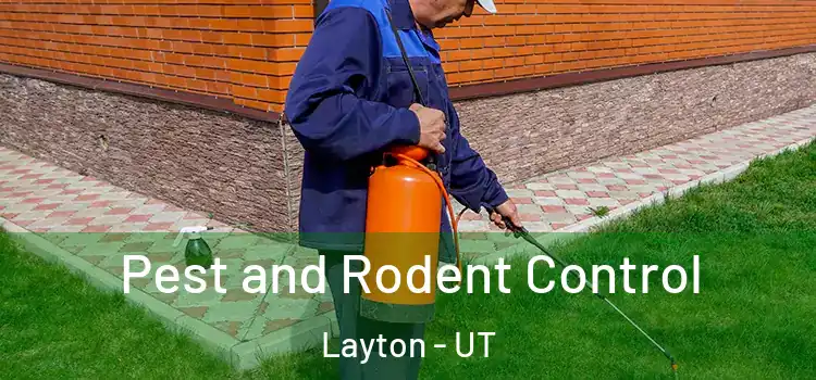  Pest and Rodent Control Layton - UT