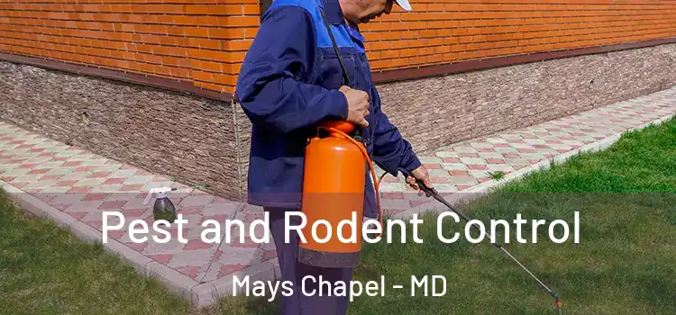 Pest and Rodent Control Mays Chapel - MD