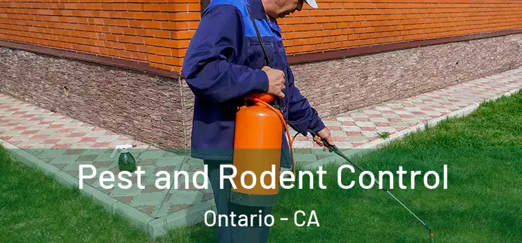  Pest and Rodent Control Ontario - CA