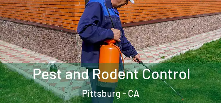 Pest and Rodent Control Pittsburg - CA