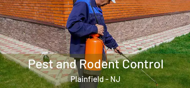 Pest and Rodent Control Plainfield - NJ