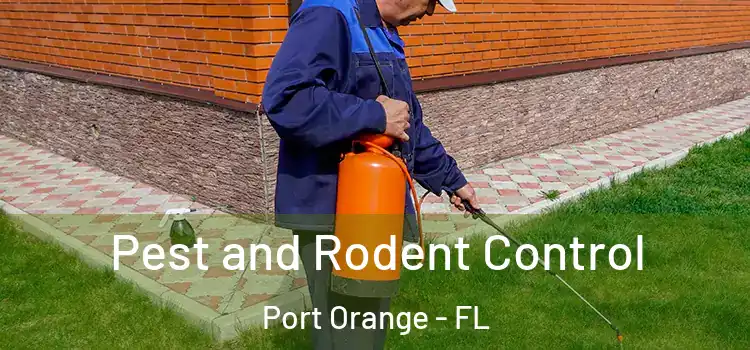  Pest and Rodent Control Port Orange - FL