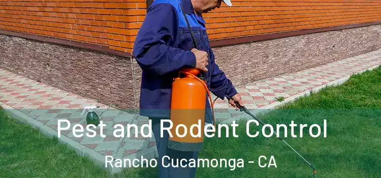  Pest and Rodent Control Rancho Cucamonga - CA