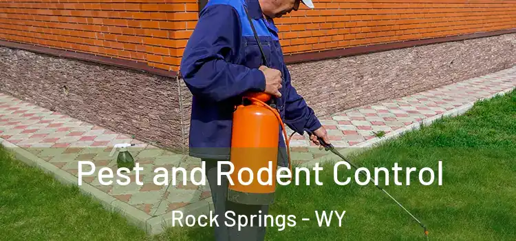  Pest and Rodent Control Rock Springs - WY