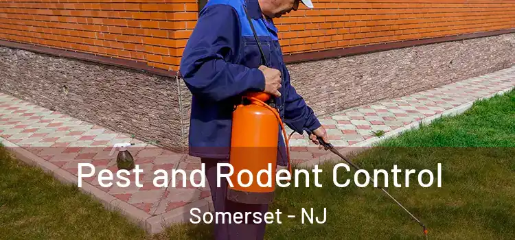 Pest and Rodent Control Somerset - NJ