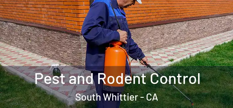  Pest and Rodent Control South Whittier - CA