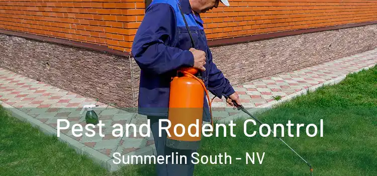 Pest and Rodent Control Summerlin South - NV