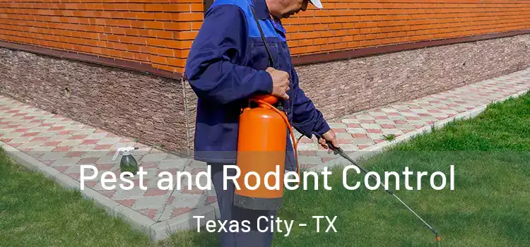  Pest and Rodent Control Texas City - TX