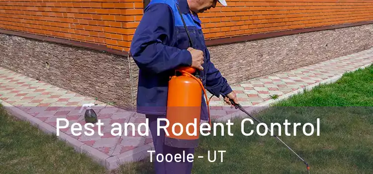 Pest and Rodent Control Tooele - UT