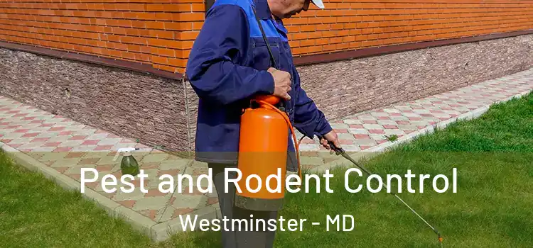 Pest and Rodent Control Westminster - MD