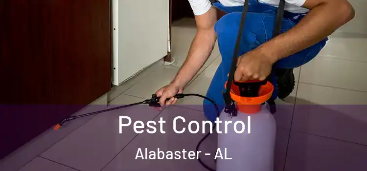Pest Control Alabaster - AL