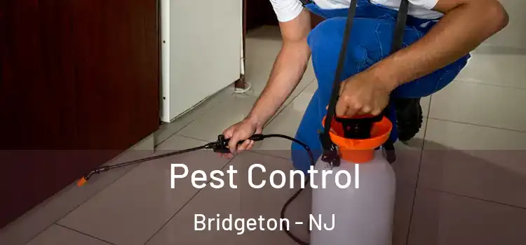 Pest Control Bridgeton - NJ