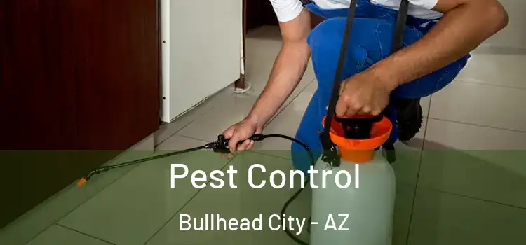 Pest Control Bullhead City - AZ
