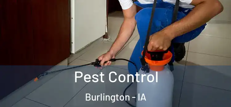  Pest Control Burlington - IA