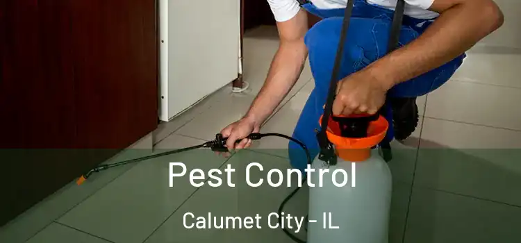 Pest Control Calumet City - IL