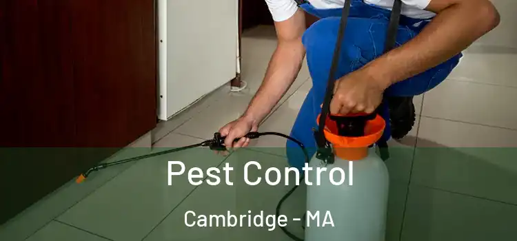  Pest Control Cambridge - MA