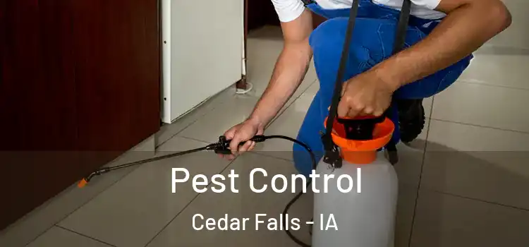  Pest Control Cedar Falls - IA