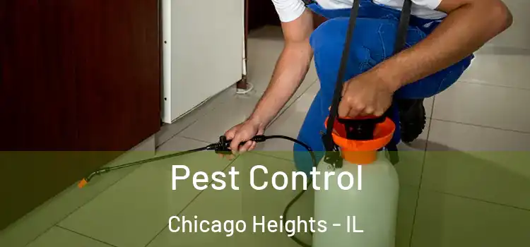 Pest Control Chicago Heights - IL