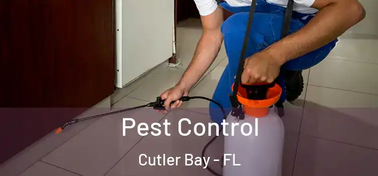 Pest Control Cutler Bay - FL