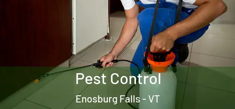  Pest Control Enosburg Falls - VT