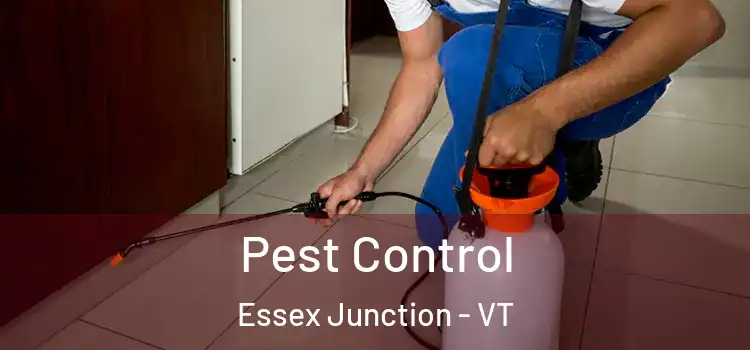  Pest Control Essex Junction - VT