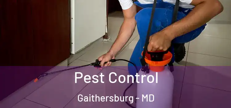 Pest Control Gaithersburg - MD