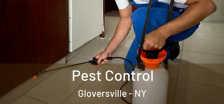  Pest Control Gloversville - NY