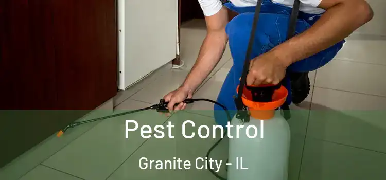 Pest Control Granite City - IL
