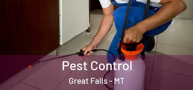  Pest Control Great Falls - MT