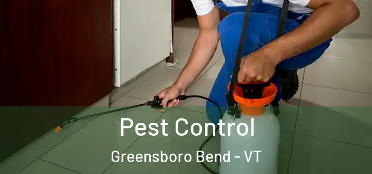  Pest Control Greensboro Bend - VT