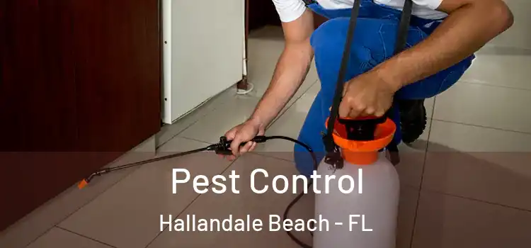  Pest Control Hallandale Beach - FL