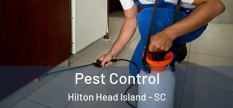 Pest Control Hilton Head Island - SC