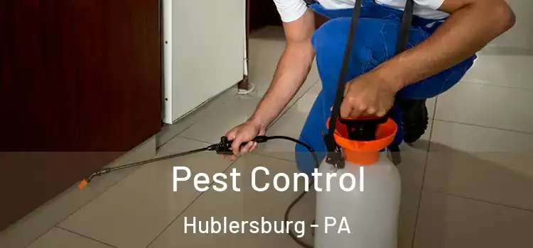 Pest Control Hublersburg - PA