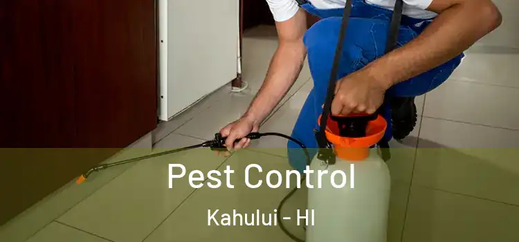  Pest Control Kahului - HI