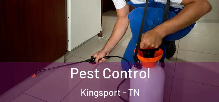  Pest Control Kingsport - TN