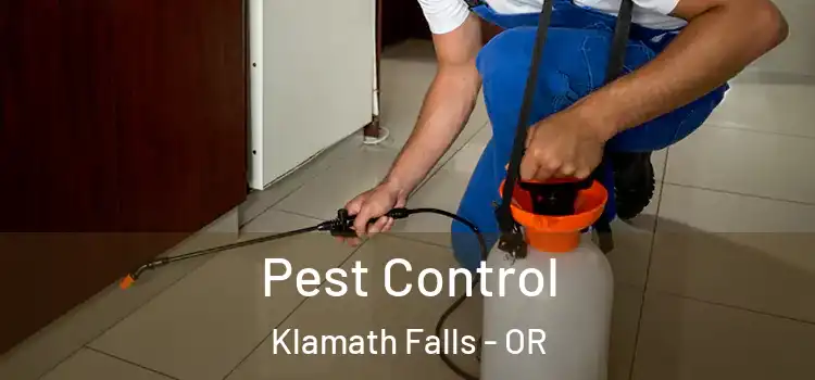  Pest Control Klamath Falls - OR