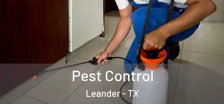  Pest Control Leander - TX