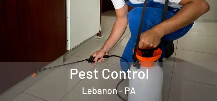 Pest Control Lebanon - PA
