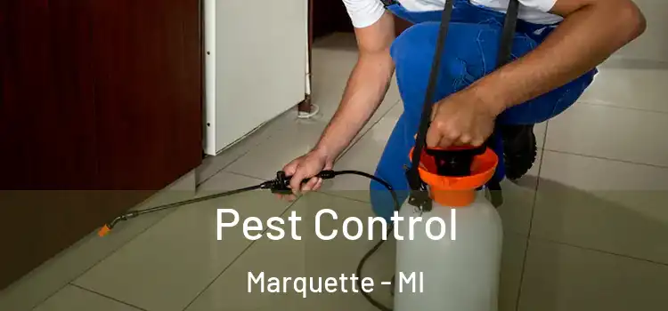 Pest Control Marquette - MI