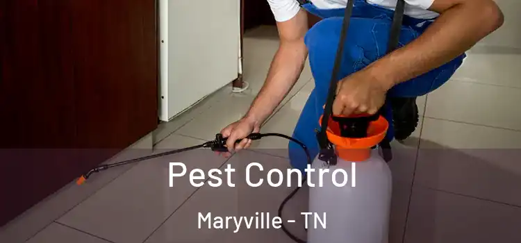  Pest Control Maryville - TN