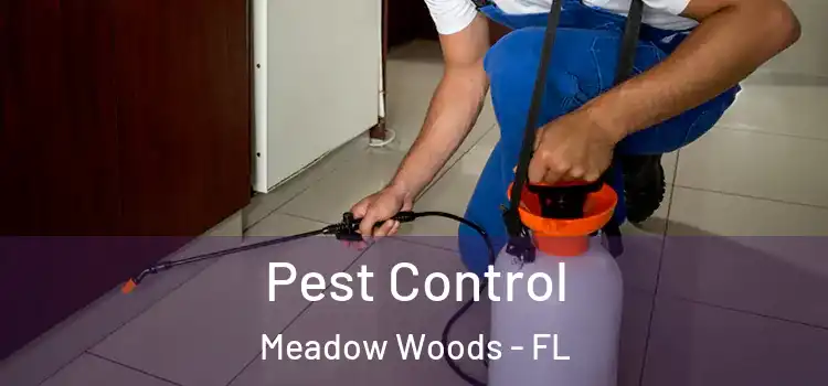  Pest Control Meadow Woods - FL