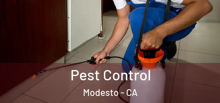  Pest Control Modesto - CA